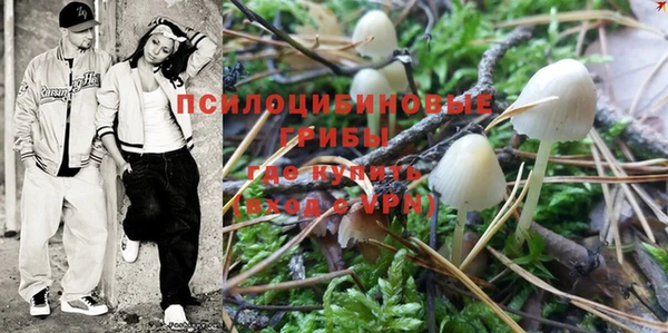 индика Алексеевка