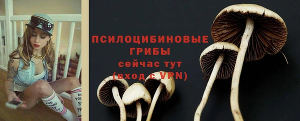 индика Алексеевка