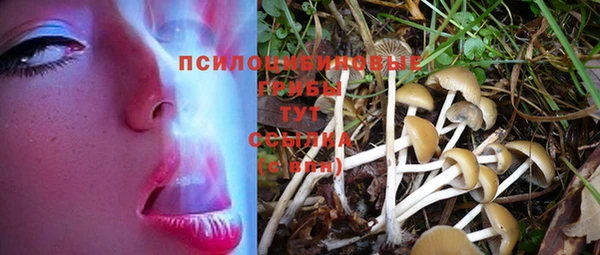 герыч Абаза