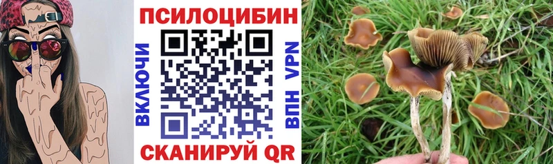 Псилоцибиновые грибы мицелий  мега ТОР  Верхоянск 